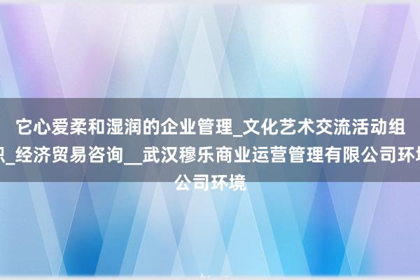 它心爱柔和湿润的企业管理_文化艺术交流活动组织_经济贸易咨询__武汉穆乐商业运营管理有限公司环境